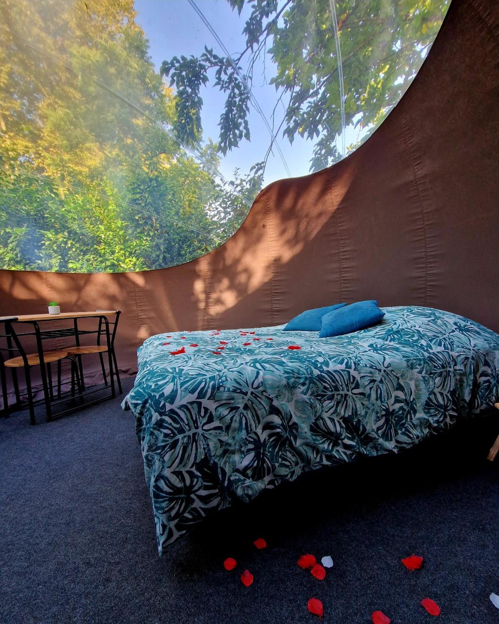 Sorde-lʼAbbaye Les Nuits De Cassiopee Bed & Breakfast 部屋 写真